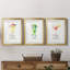 Cosmopolitan - ensemble de 3 reproductions de cadres photo-9641225-9641236
