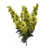 Brume de mer est en rupture de stock