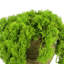 Norwood Faux Moss Plant in Pot