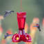 Mangeoire colibri en plastique Elsass