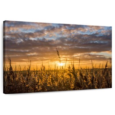 Harnek Setting Beyond The Reeds