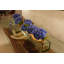 Hydrangeas and Driftwood in Vase