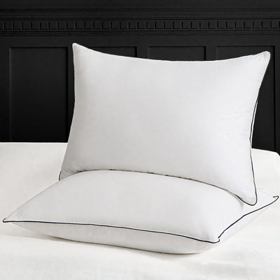 Ensemble de 2 oreillers en duvet d'oie 100% coton biologique