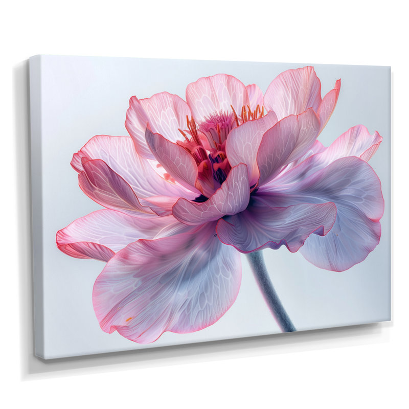 Rose et blanc chaud, souci, art mural, H 12 po x l 20 po, Toile tendue