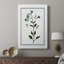 Botanical II - galerie Cavas sur mesure-907783443