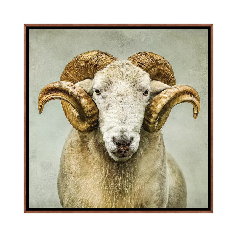 « Stare » par Mark Gemmell-impression d’art graphique, Pas de tapis, Toile avec cadre en bois classique