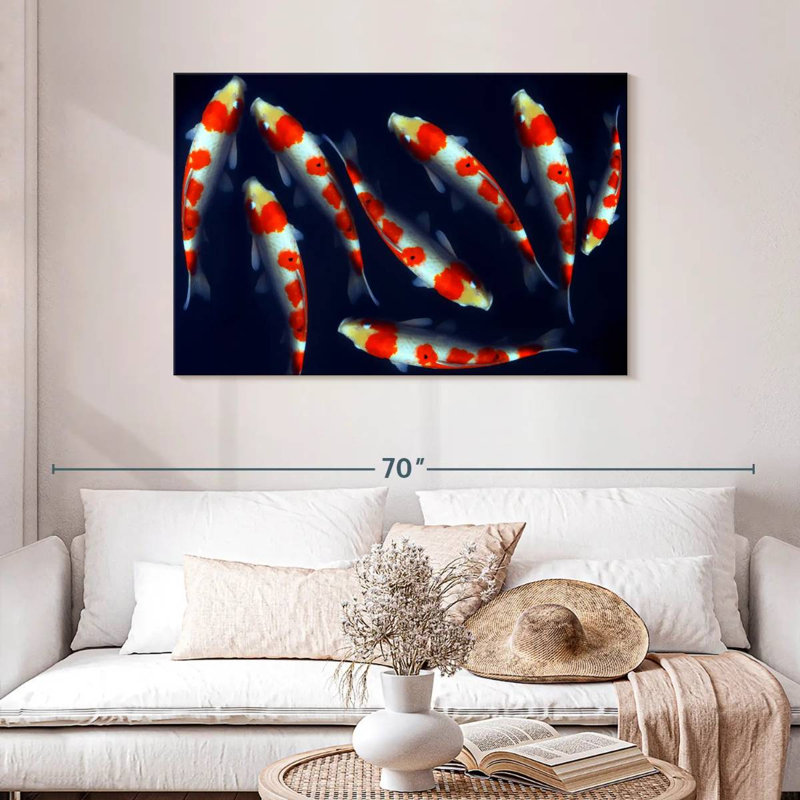 Poissons koi Brampt Sleek, H 30 po x l 45 po