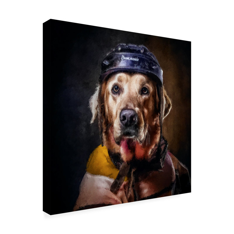 «Kulsoom Hockey 1 On Canvas» par Sean Parnell, reproduction, H 14 po x l 14 po x P 2 po
