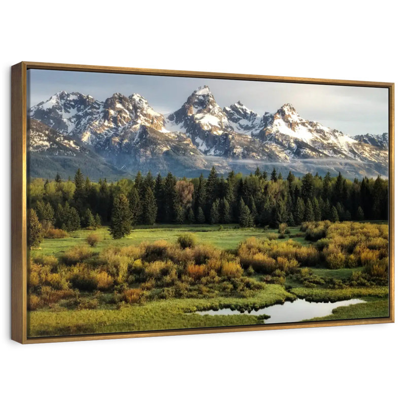 Grand Teton Beauty, Cadre flottant doré, 43 po x 29 po