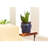 Ceramic Pot Planter