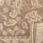 Arneshia Oriental Creme / Brown Indoor / Outdoor Area Rug-531928376