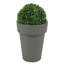 Elvezia Pot Planter-504880688-504880695