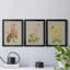 «Botanical Array I», ensemble de 3 impressions sur toile encadrées-1436849648-1436849548