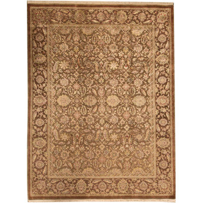 Oriental Area Rug in Brown