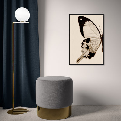 " Animals Sepia Butterfly I Insects "