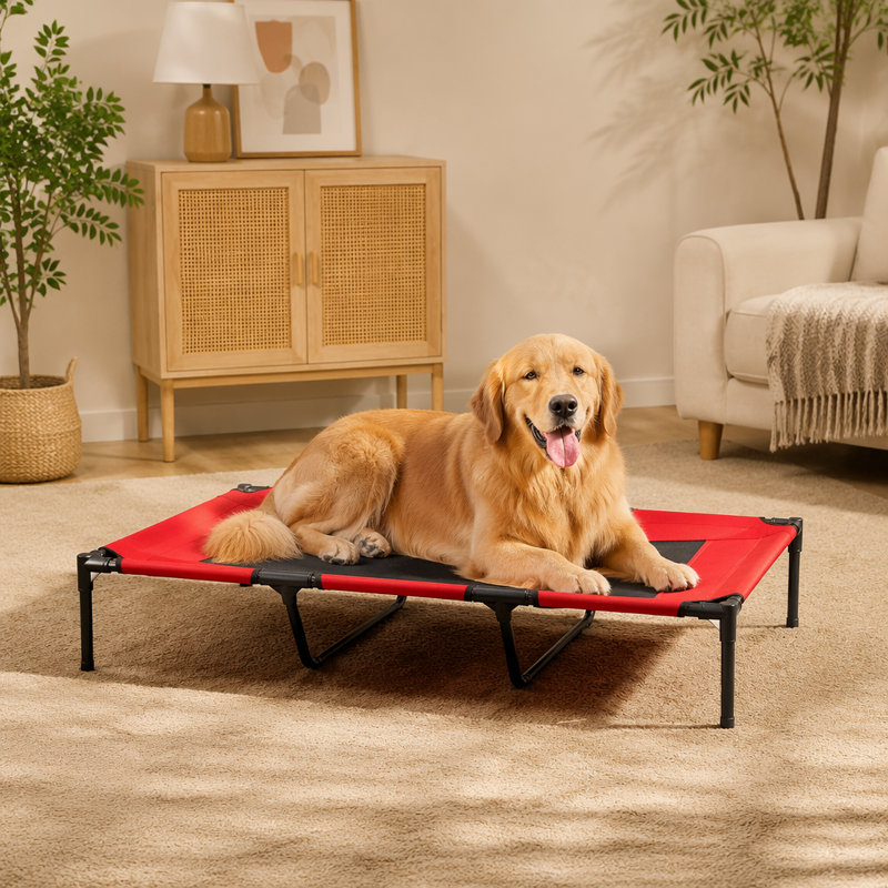 Lit pour chien portable respirant surélevé Pawhut 48 po x 36 po avec cadre en métal