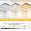 Aiydan LED Flush Mount