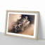 Two Dragons in the Clouds by Kano Hogai - Framed Print-55614782-55614781