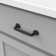 Carbonite Collection Pull 4 Inch