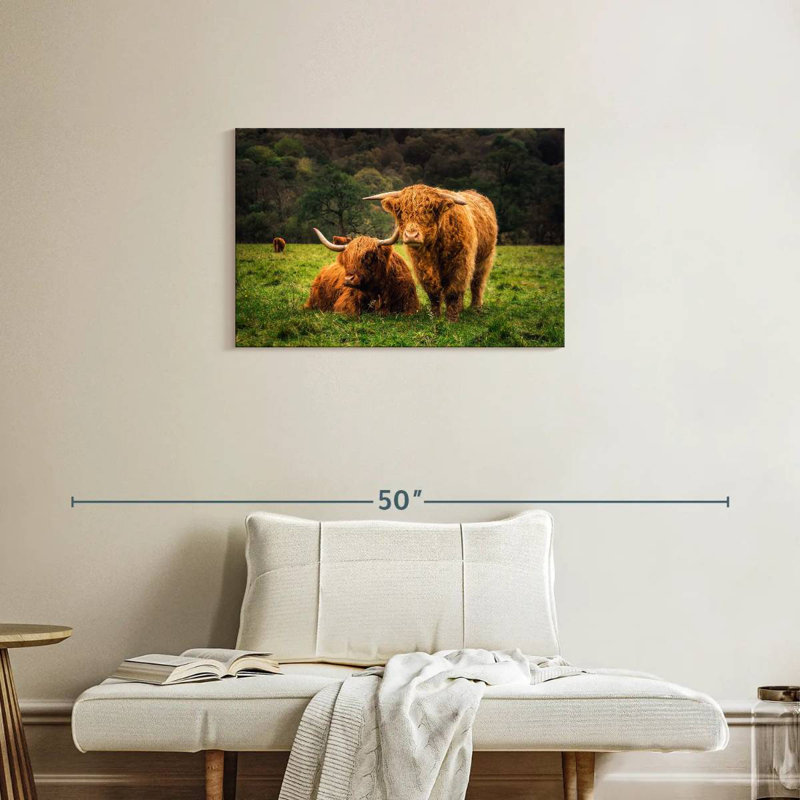 Brampt Highland Cow Friends, H 20 po x l 30 po