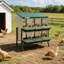 Boîte de nidification à 6 compartiments pour poulets en métal - robuste, ventilée, plateau et perchoir amovibles, facile à nettoyer, collection efficace d'œufs pour poules, canards, oies - vert avec motif de poulet - 6 compartiments-129465486-129465487