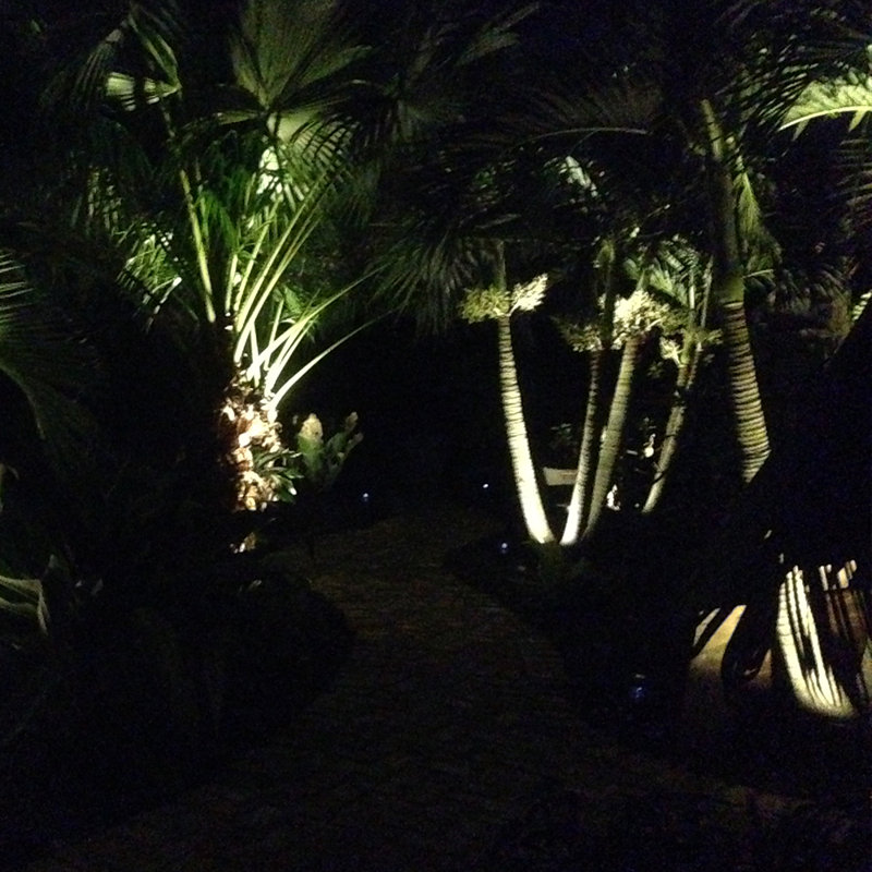 Solar Powered Integrated LED Outdoor Pathway Lamp with Dusk to Dawn Sensor