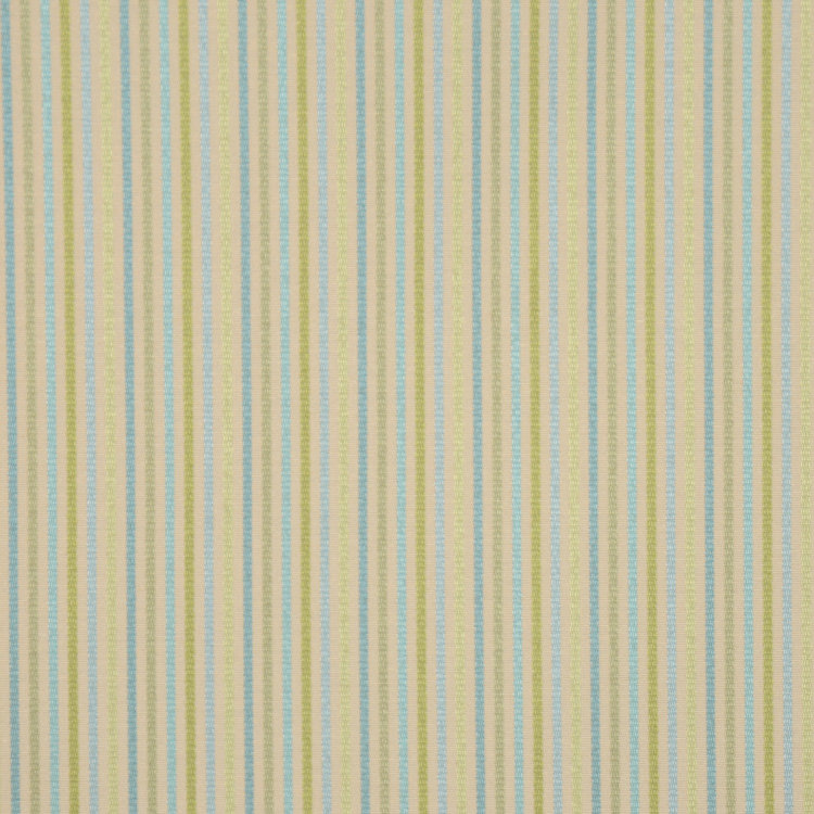 Duck Fabric, Aloe