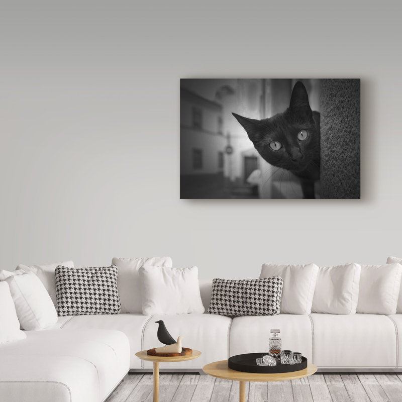 « hello black cat », reproduction de photo sur toile tendue, H 12 po x l 19 po x P 2 po