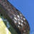 Peridot Wicker Outdoor Lounge Chair-69967812