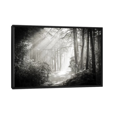 Into the Forest II par Dorit Fuhg - reproduction de photo