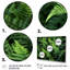 «Green Fern Scenery I» sur toile-1792600043-1792600044
