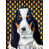 Basset Hound 2