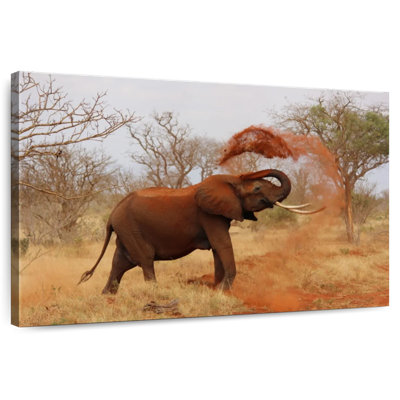 Crowle Dirt On Elephant