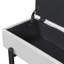 Banc de rangement rembourré avec tablette inférieure-1069356980