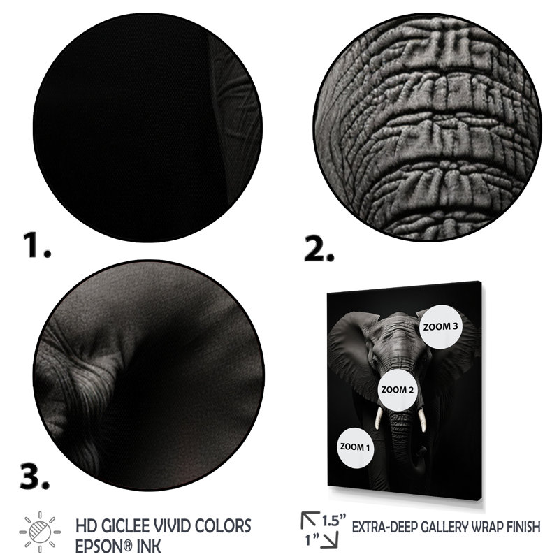 «Leilah Black and White Elephant Photo I», reproduction sur toile, Cadre simple noir, H 20 po x l 12 po x P 1 po