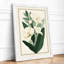 Study in Cream Botanical - Framed Print-187878165-187878166