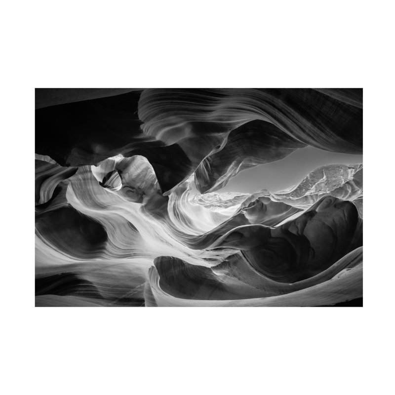 Œuvre d'art sur toile hallucinatoire, Bachelor, H 12 po x l 19 po