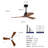 Modern Ceiling Fan With Light 3 ABS  Blades Remote Control Reversible DC Motor With Dimmable LED