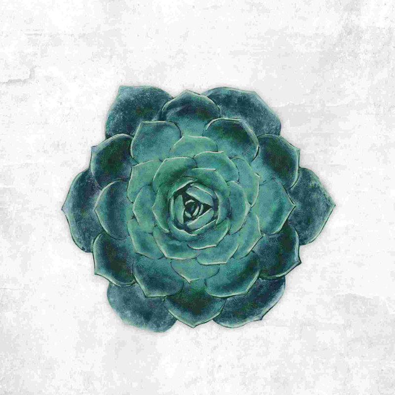 One Succulent Teal - peinture sur toile tendue, H 36 po x l 36 po