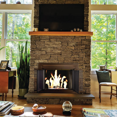 Ebern Designs Abbygayle Bifold Steel Fireplace Door & Reviews | Wayfair