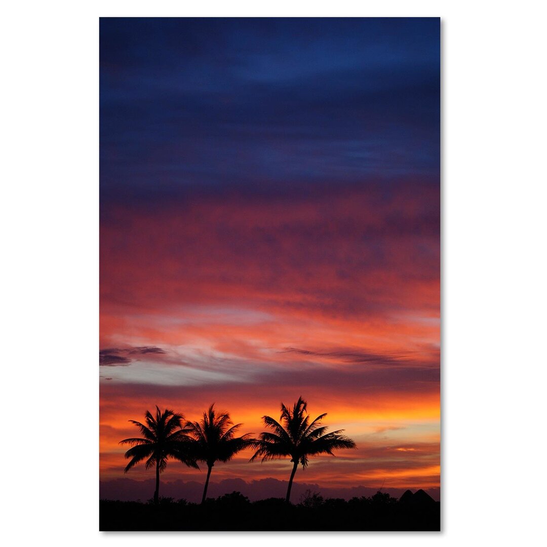 Leinwandbild Bunter Himmel und Palmen