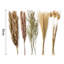 15Pcs Dried Flower Bunch Reed Rabbit Tail Grass Bouquet Home Decor
