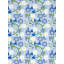 Morning Glory-16999823
