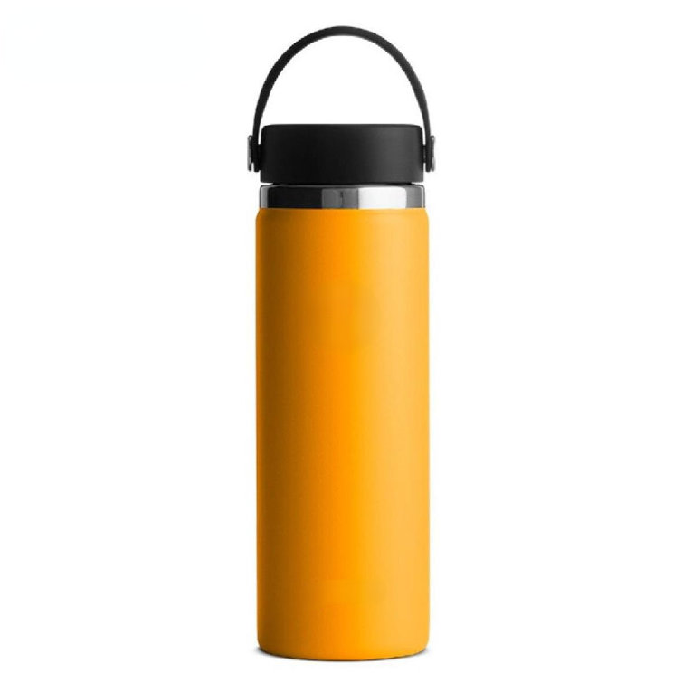 https://assets.wfcdn.com/im/27381016/resize-h755-w755%5Ecompr-r85/2140/214071686/Captive+Gala+Insulated+Stainless+Steel+Water+Bottle.jpg