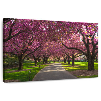 Fleurs de cerisier Harnek Brooklyn Park