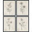 Fleurs abstraites botaniques encadrées sur papier, impression de 4 pièces-97782706-97782707