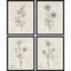 Fleurs abstraites botaniques encadrées sur papier, impression de 4 pièces-97782708-97782709