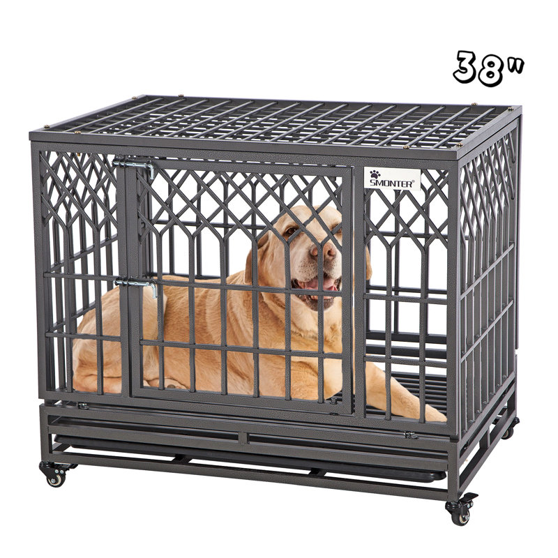 Cage pour chien robuste Gianina, H 31,5 po x l 37,5 po x P 25,6 po, Noir