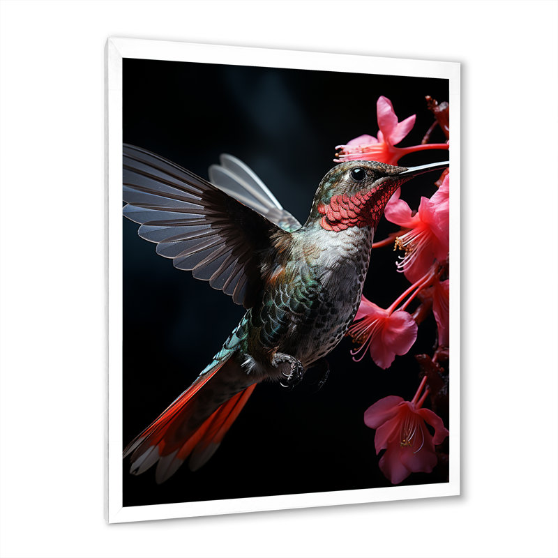 «Koutio Gray Coral Hummingbird Portrait Vibrant I», reproduction d'art sur toile, H 44 po x l 34 po x P 1,5 po