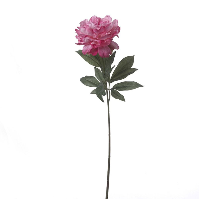 Peony Arrangement, Pink